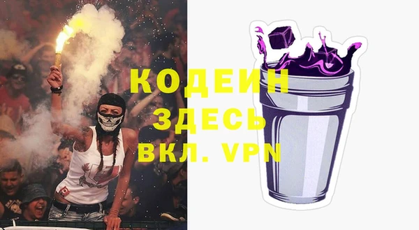 сатива Арсеньев