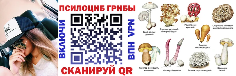 наркотики  Заозёрный  Галлюциногенные грибы MAGIC MUSHROOMS 